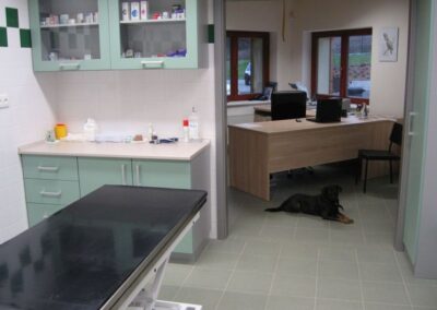 Ordinace veterina Vlašim
